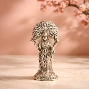 VASAVI MATA IDOL